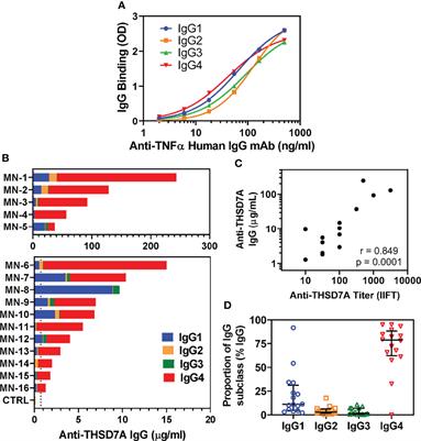 The Alternative Pathway Is Necessary and Sufficient for Complement Activation by Anti-THSD7A Autoantibodies, Which Are Predominantly IgG4 in Membranous Nephropathy